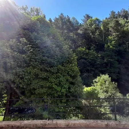 Rio Aragon 1 Διαμέρισμα Canfranc